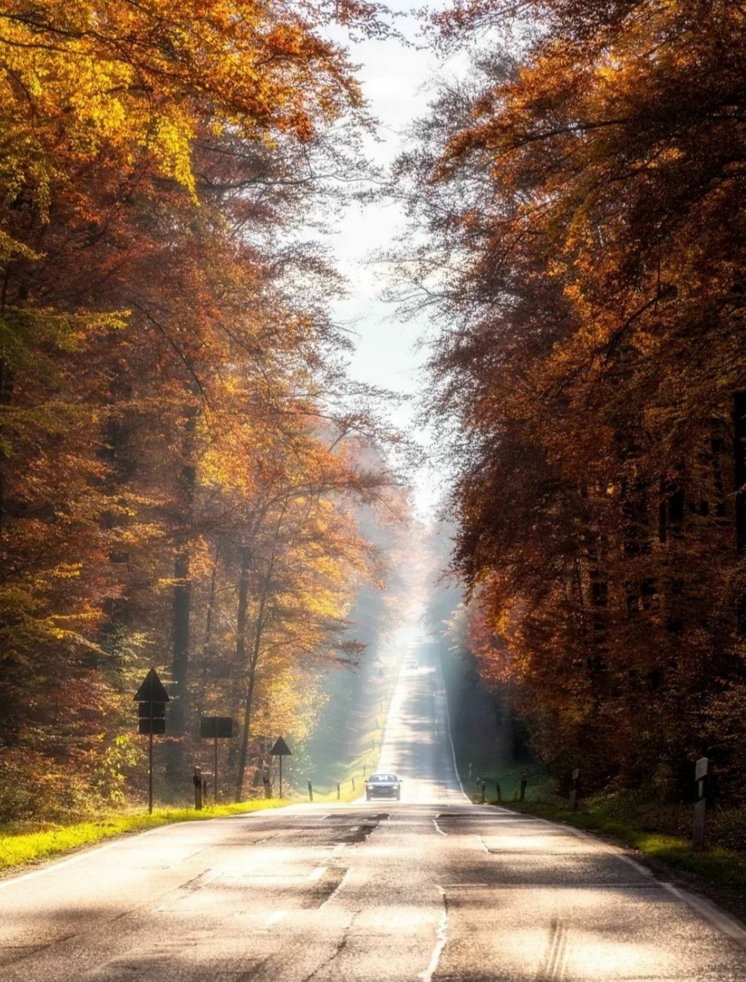 Sicher durch den Herbst